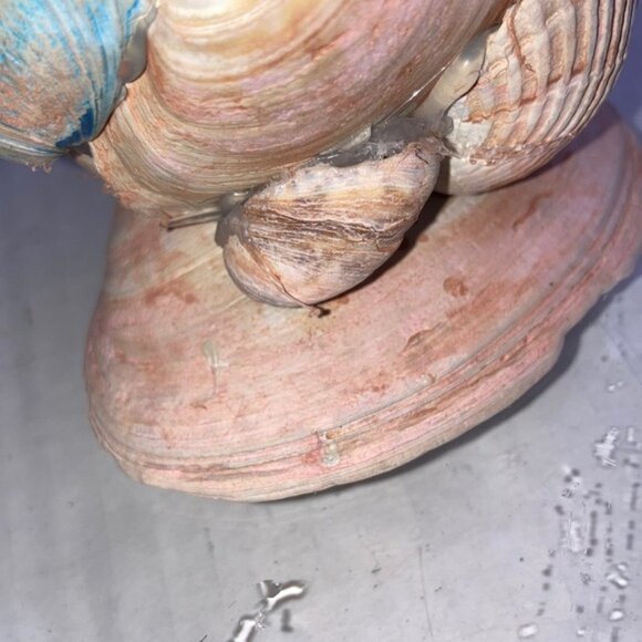 Handcrafted Shell Decor in Natural Tones Fall Harvest Pumpkin 5 x 5 inches - Picture 2 of 7